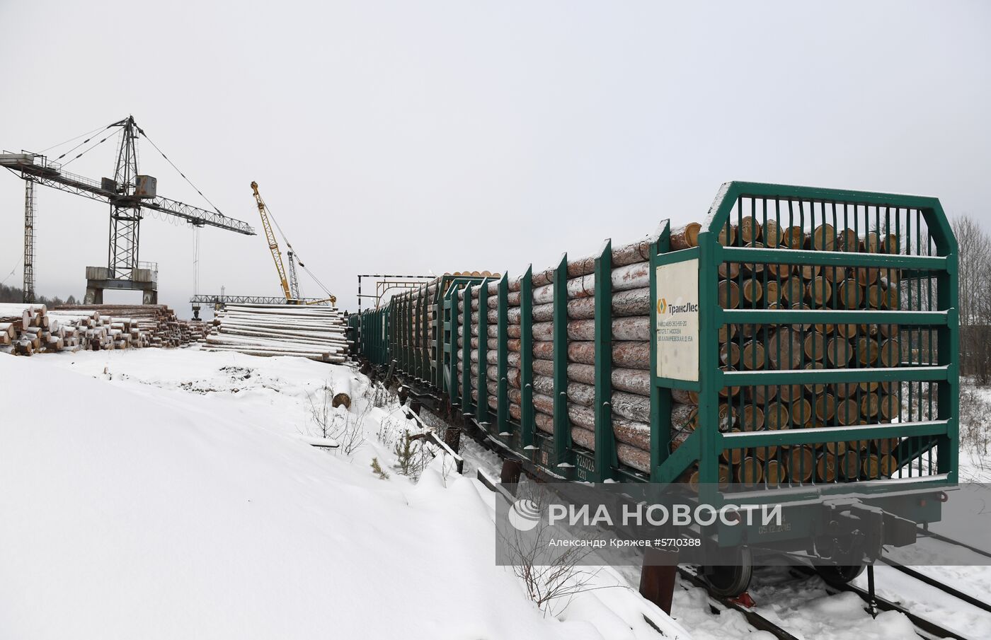 Частные лесоперерабатывающие предприятия в Красноярском крае