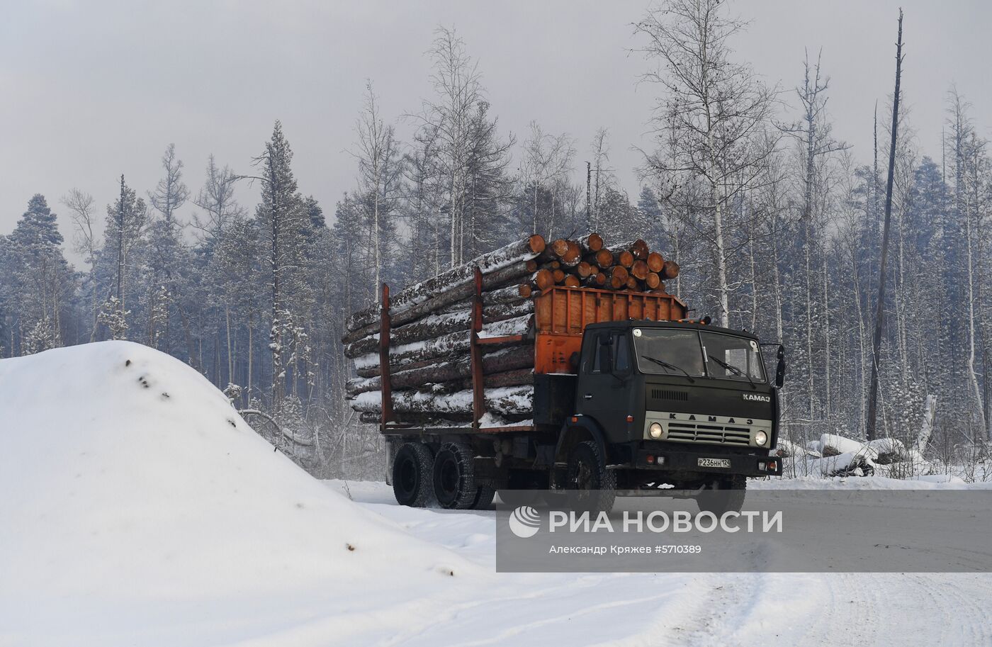 Частные лесоперерабатывающие предприятия в Красноярском крае