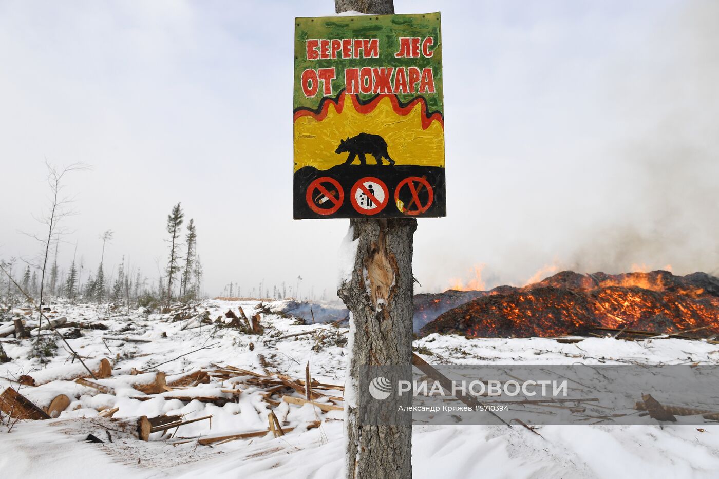 Частные лесоперерабатывающие предприятия в Красноярском крае