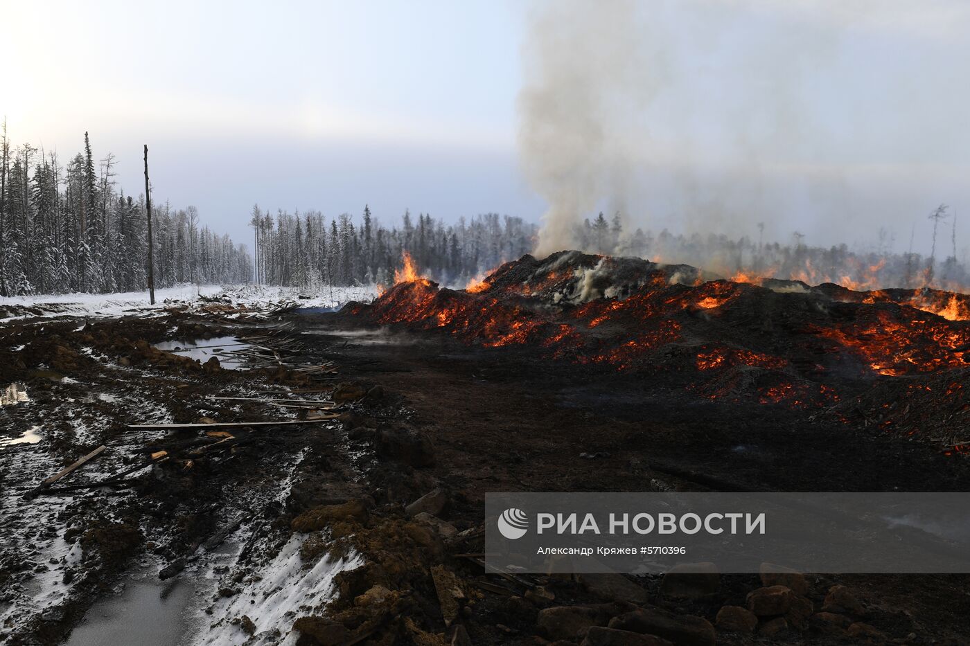 Частные лесоперерабатывающие предприятия в Красноярском крае