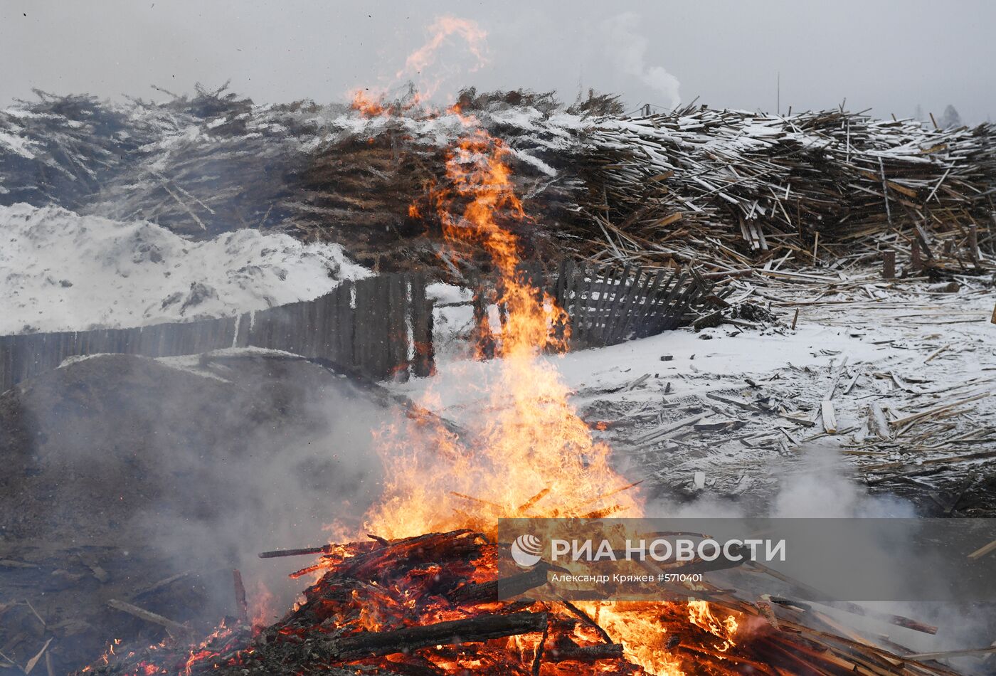 Частные лесоперерабатывающие предприятия в Красноярском крае