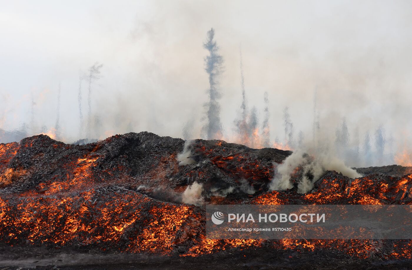 Частные лесоперерабатывающие предприятия в Красноярском крае