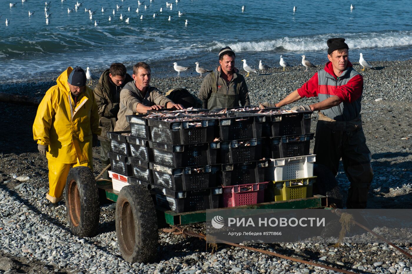 Морская рыбалка в Сочи