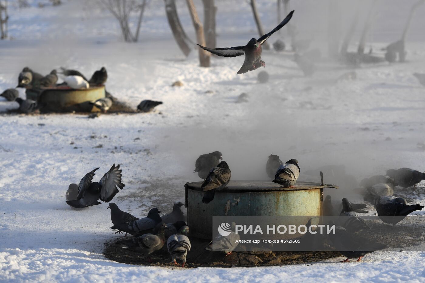 Морозы в Новосибирске