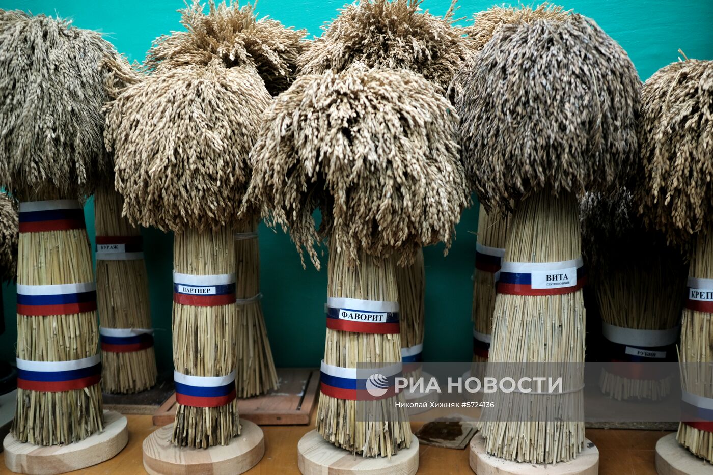 Всероссийский научно-исследовательский институт риса