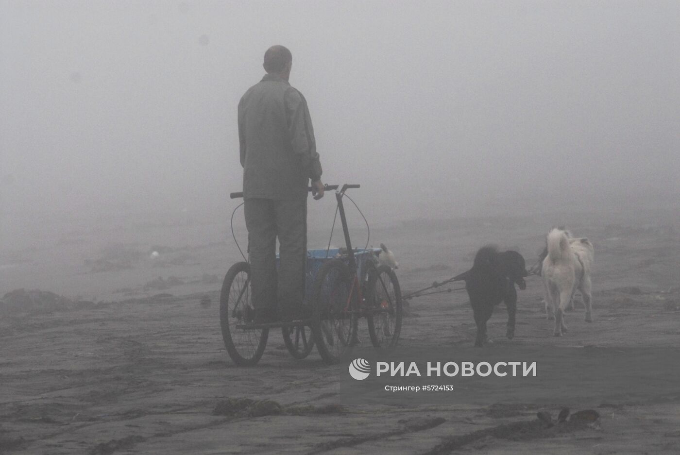 Собачья упряжка на побережье Тихого океана на острове Кунашир. Место: Россия, Сахалинская область. Автор: Стрингер/РИА Новости. Виды России. Курильские острова