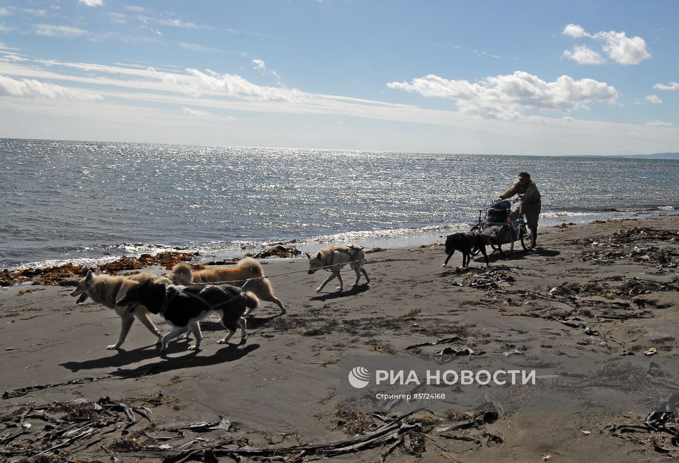 Виды России. Курильские острова