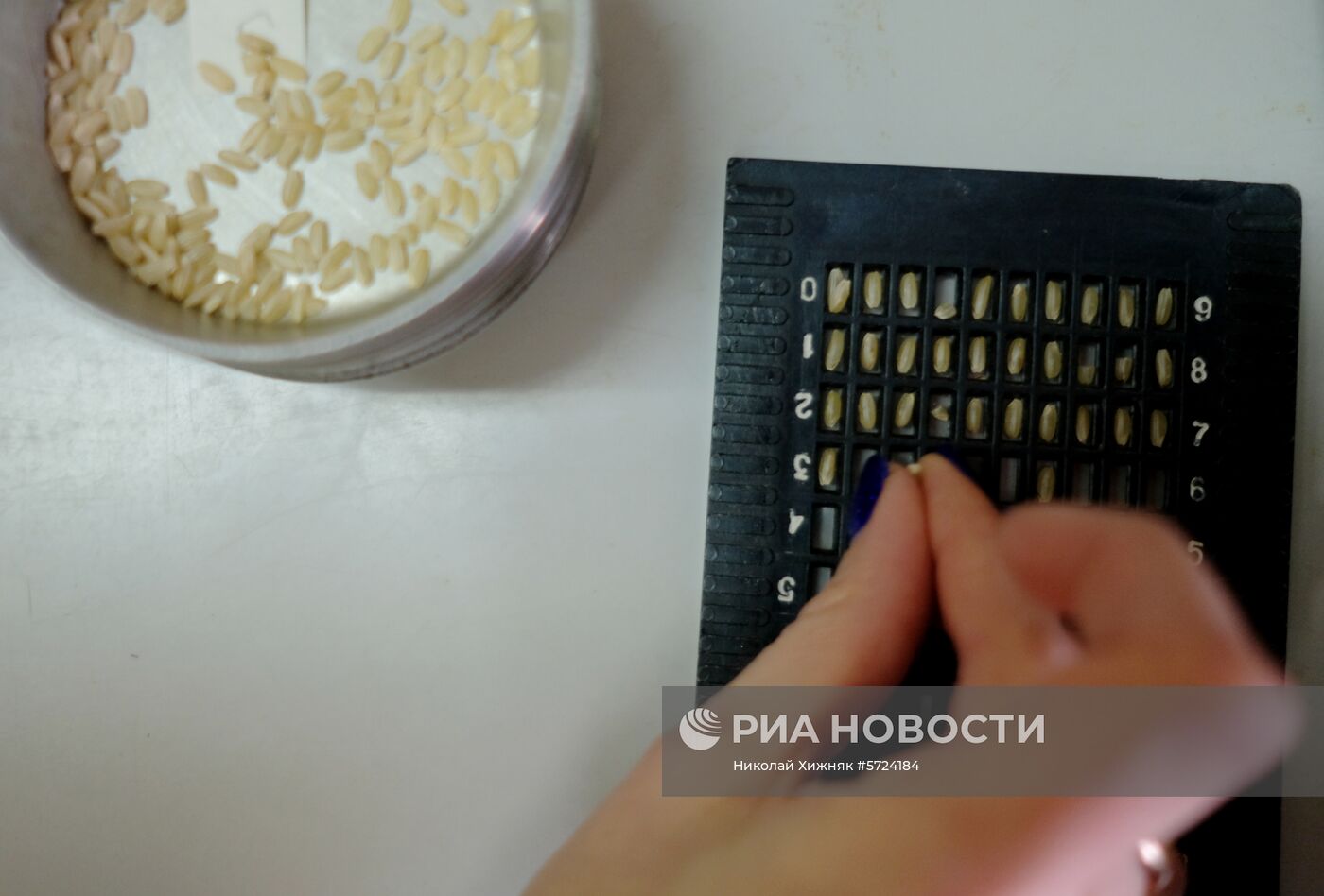 Всероссийский научно-исследовательский институт риса