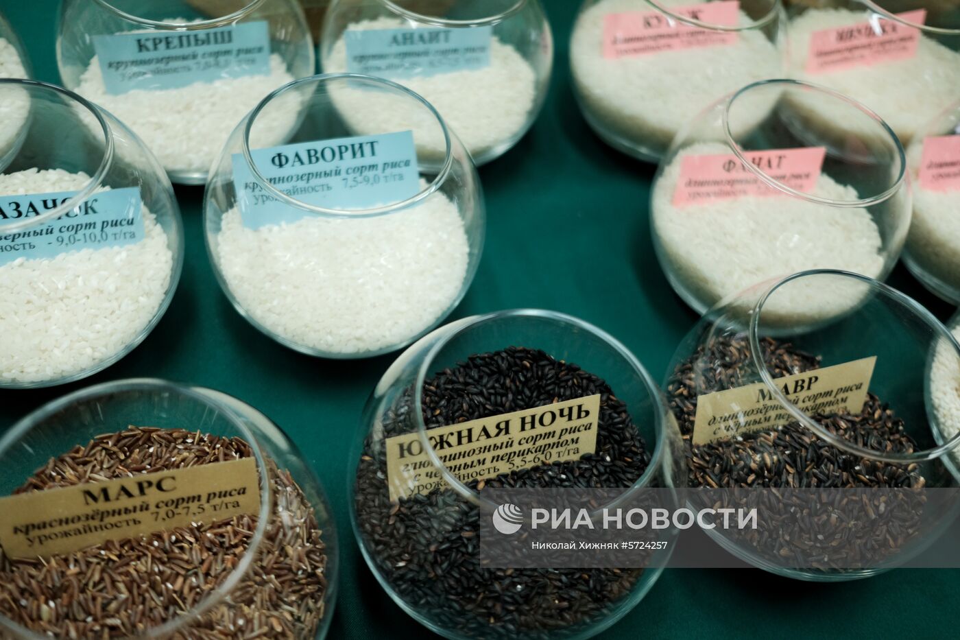 Всероссийский научно-исследовательский институт риса