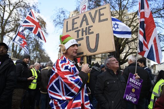 Акция в поддержку Brexit в Лондоне