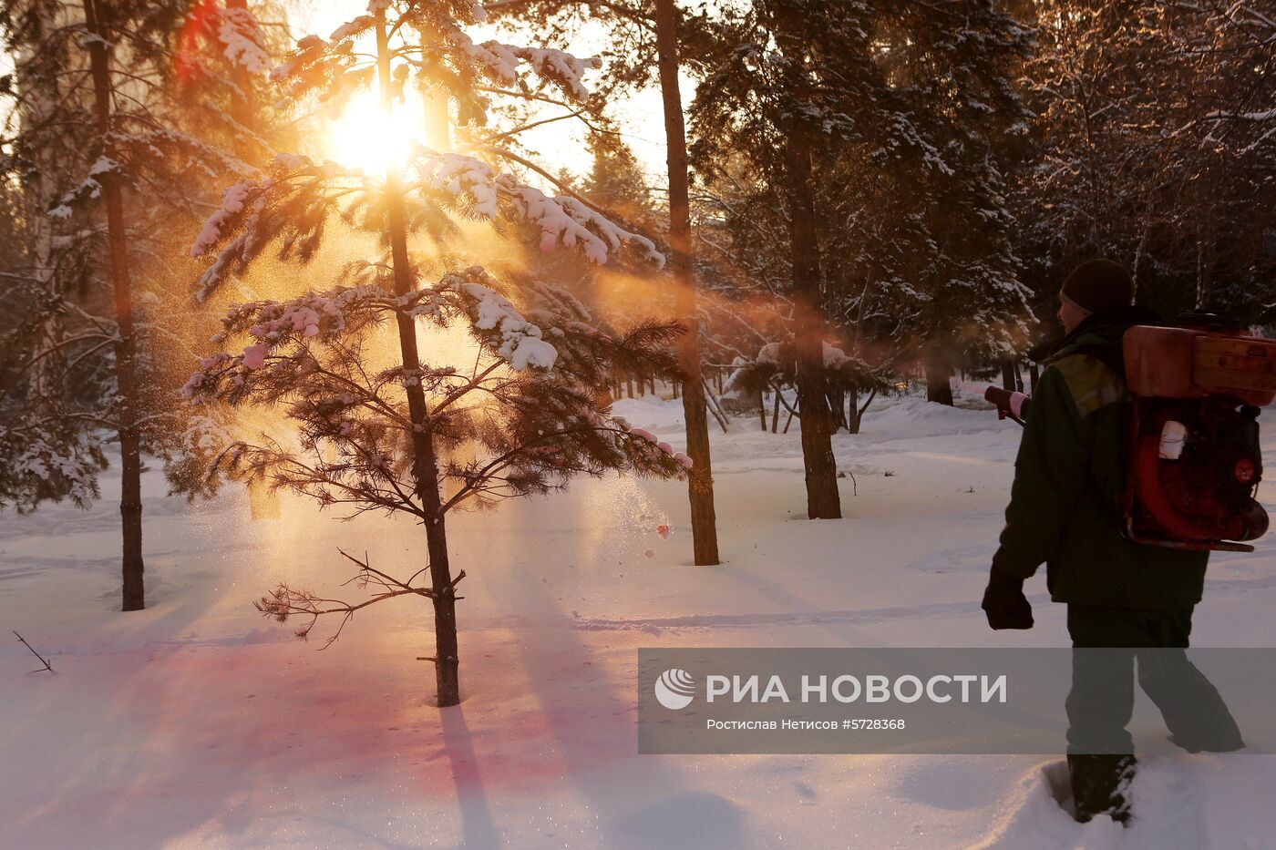 Обработка хвойных деревьев защитным составом в Новосибирске