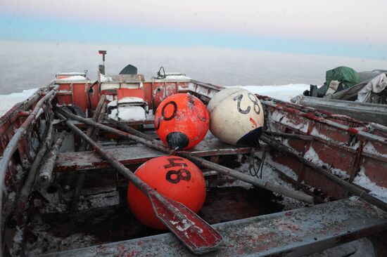 Зимняя охота на нерпу на Чукотке