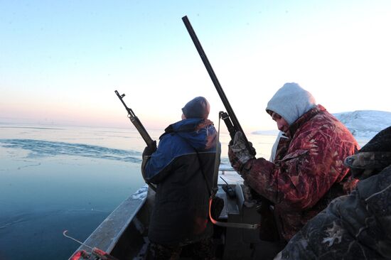 Зимняя охота на нерпу на Чукотке
