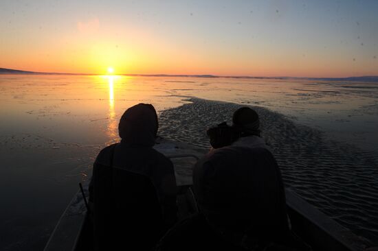 Зимняя охота на нерпу на Чукотке