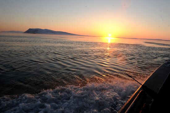 Зимняя охота на нерпу на Чукотке