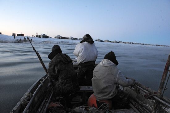 Зимняя охота на нерпу на Чукотке