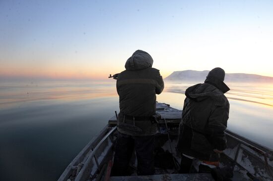 Зимняя охота на нерпу на Чукотке