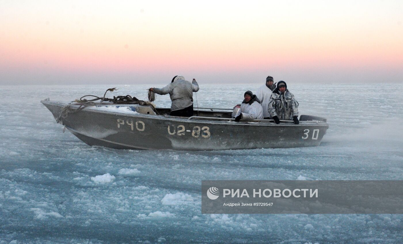 Зимняя охота на нерпу на Чукотке