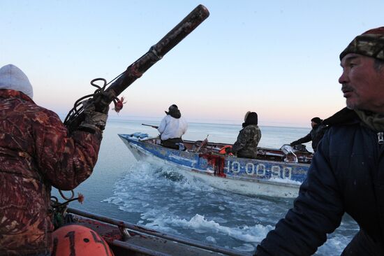 Зимняя охота на нерпу на Чукотке