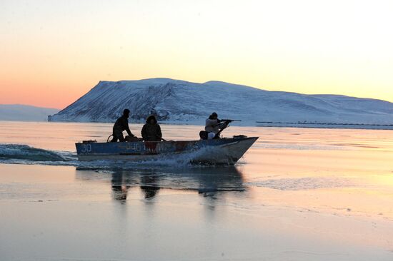 Зимняя охота на нерпу на Чукотке