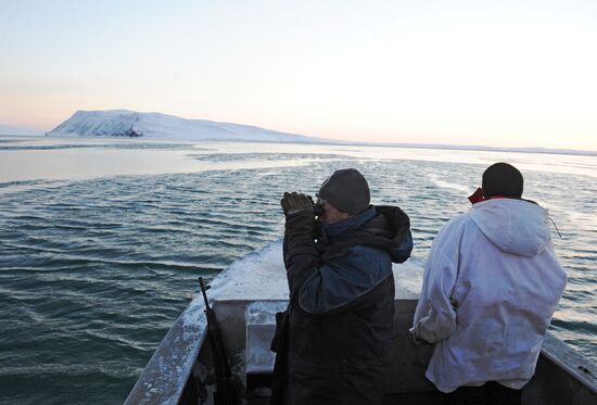 Зимняя охота на нерпу на Чукотке