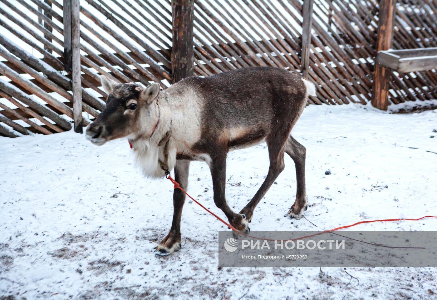 Резиденция Карельского Деда Мороза Талви Укко