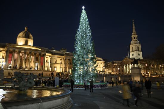 Главная рождественская ель в Лондоне