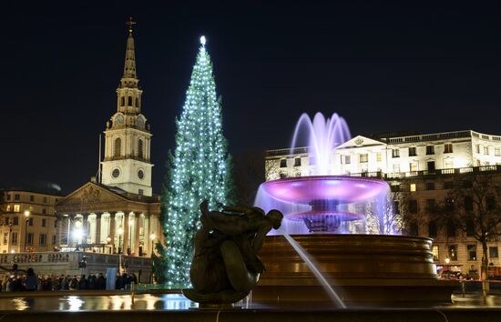 Главная рождественская ель в Лондоне