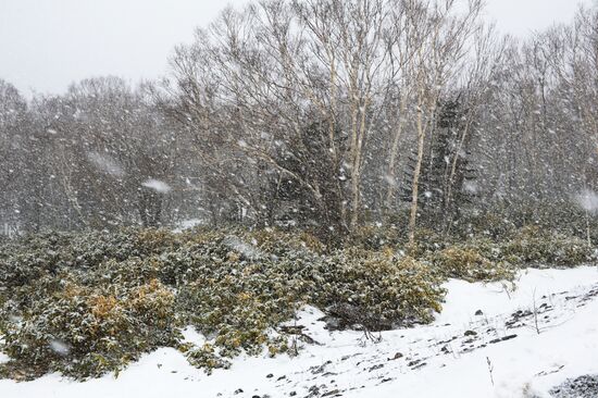 Курильские острова