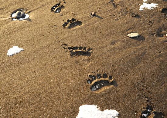 Курильские острова