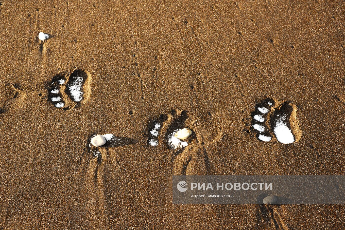 Курильские острова