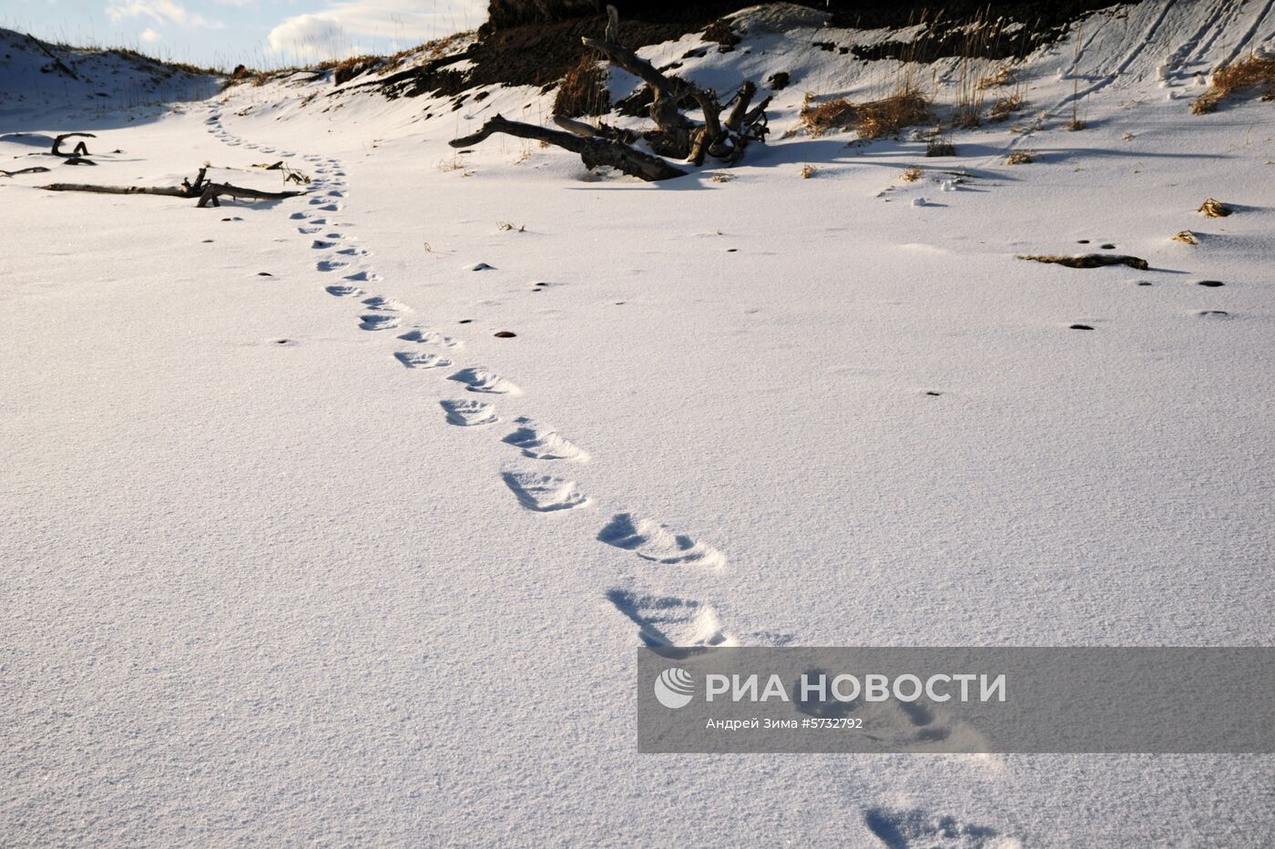 Курильские острова