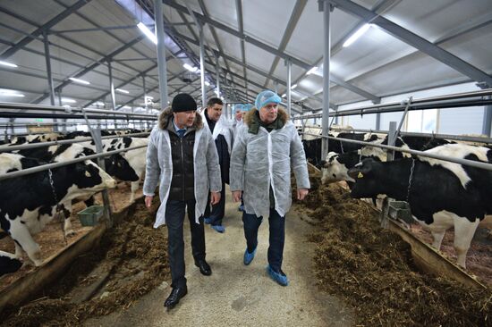 Животноводческий молочный комплекс  «Путиловский»  в Свердловской области