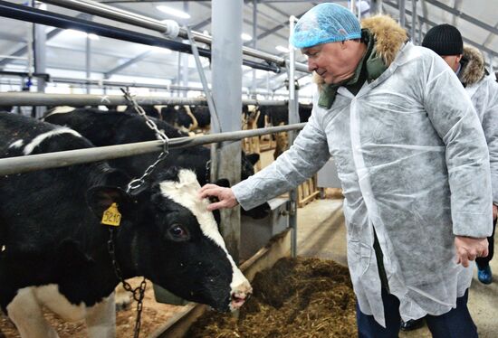 Животноводческий молочный комплекс  «Путиловский»  в Свердловской области