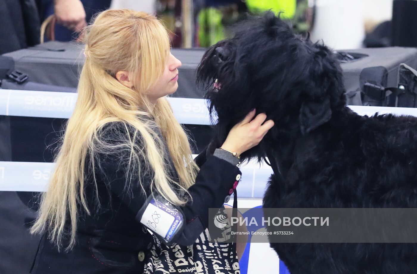 Выставка домашних питомцев "Кубок мэра 2018"