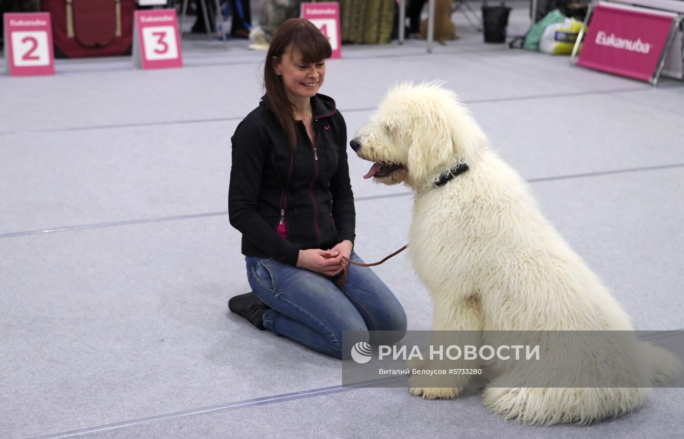 Выставка домашних питомцев "Кубок мэра 2018"