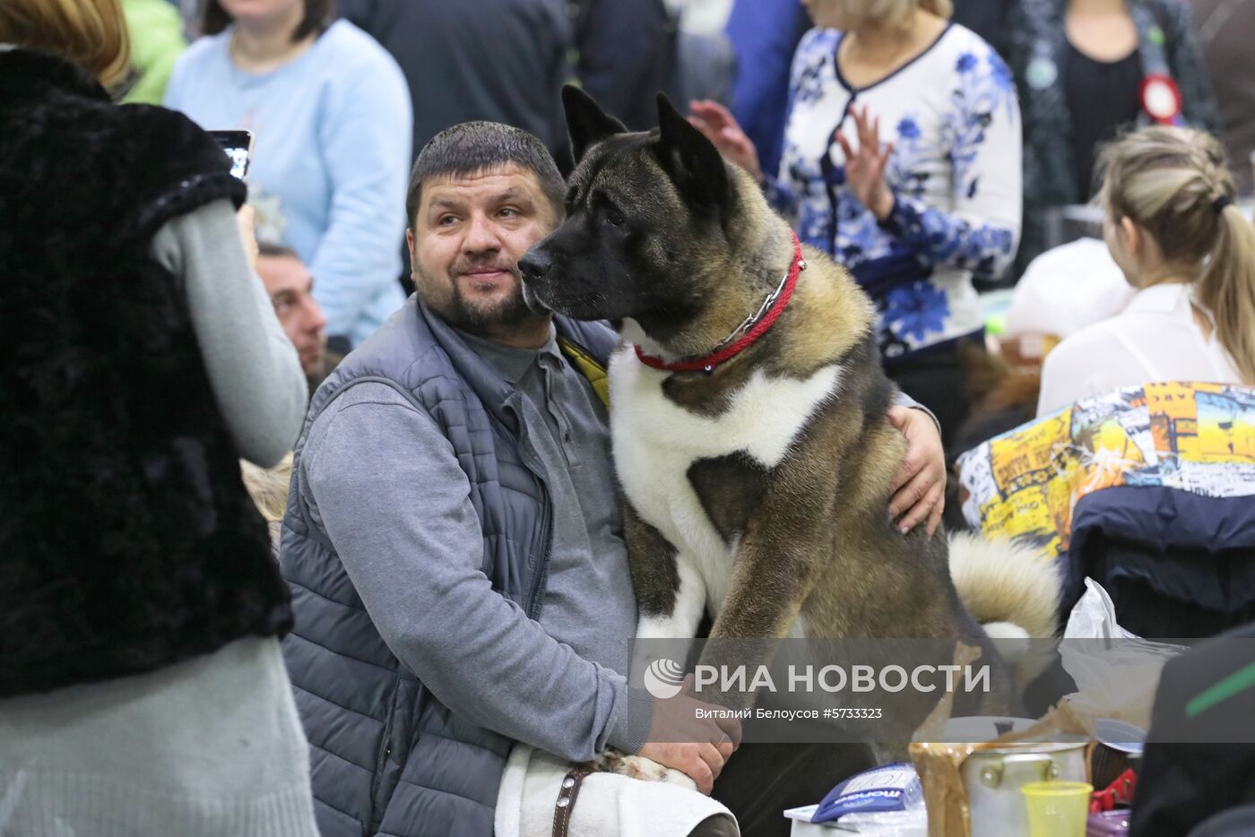 Выставка домашних питомцев "Кубок мэра 2018"