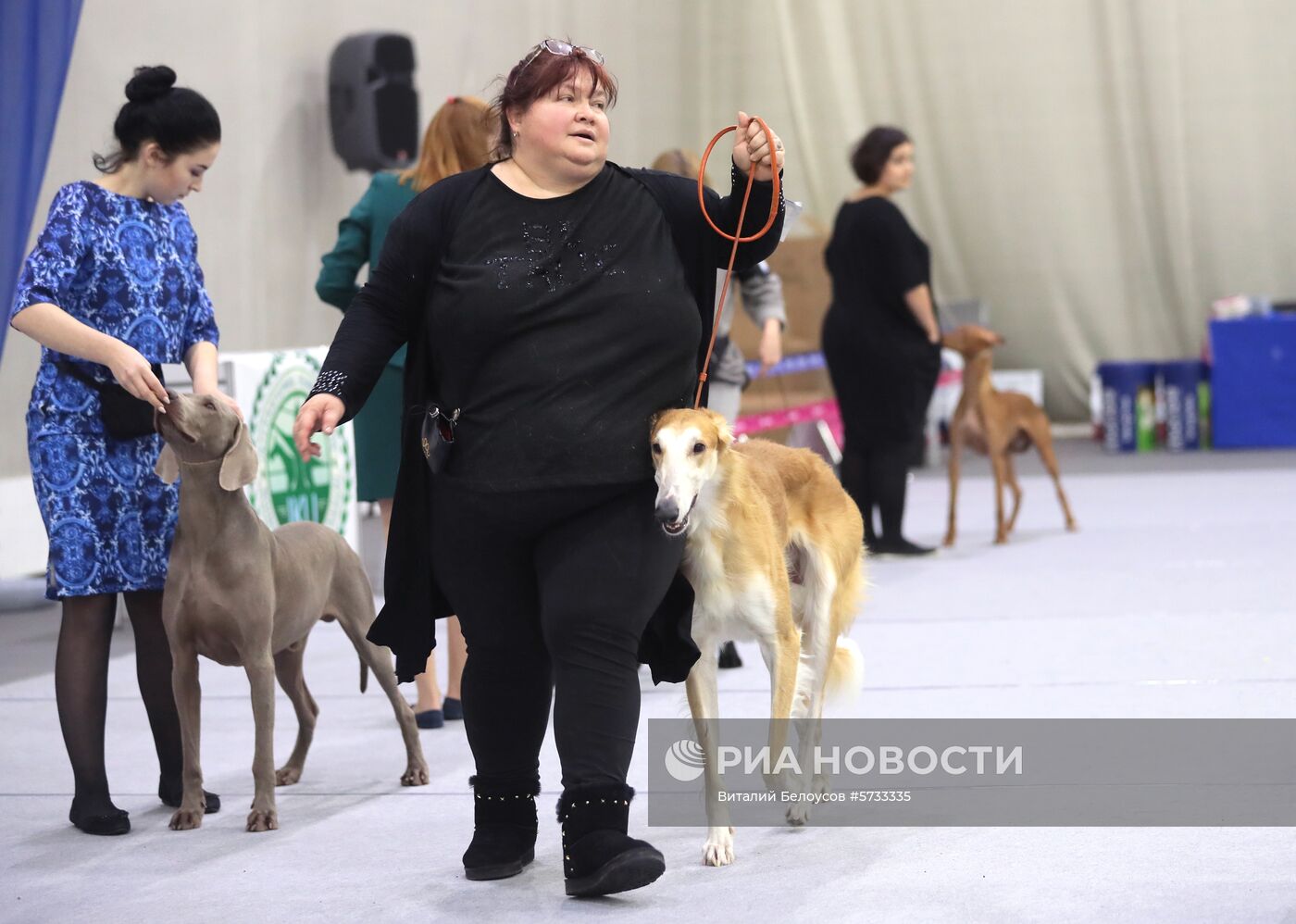 Выставка домашних питомцев "Кубок мэра 2018"