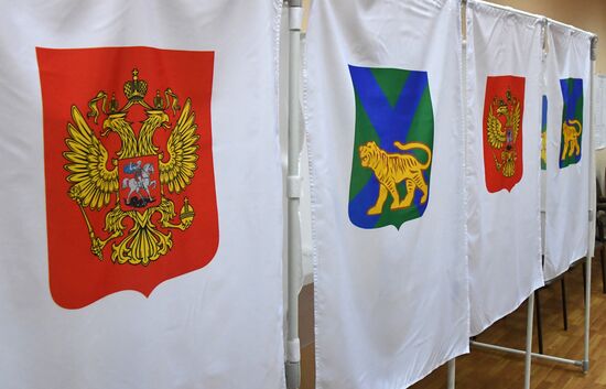 Выборы главы Приморья