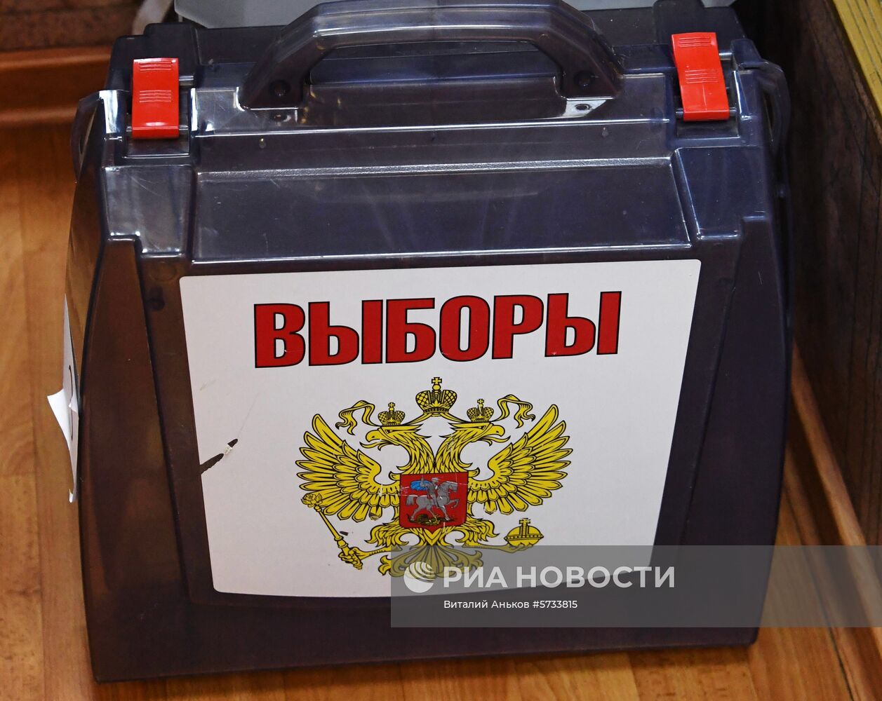 Выборы главы Приморья