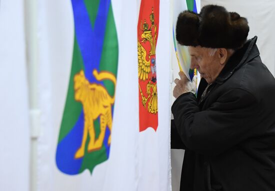 Выборы главы Приморья