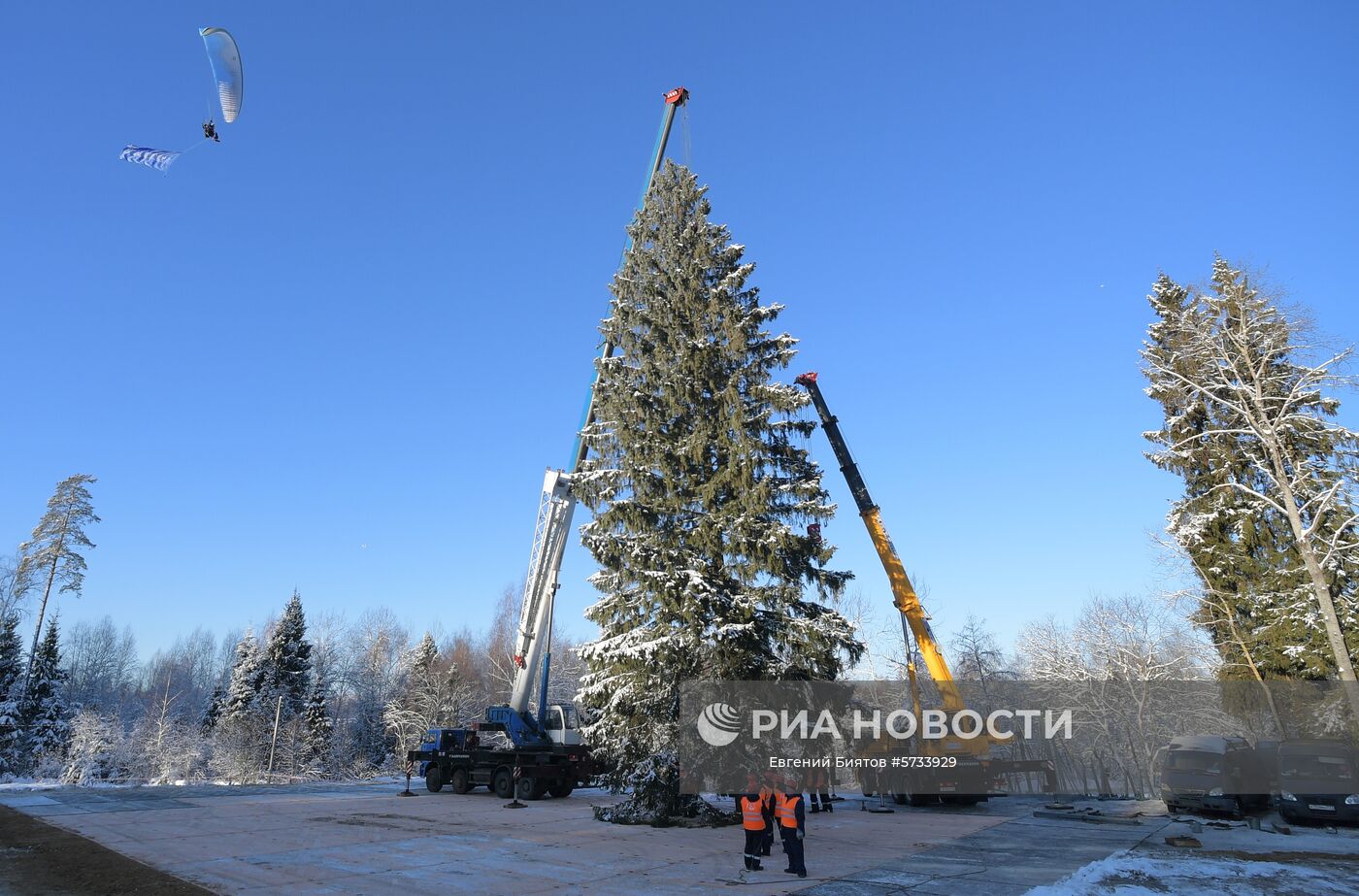 Рубка главной новогодней ели страны в Московской области. Дерево возрастом 100 лет, высотой 27 метров и диаметром ствола 60 см доставят на Соборную площадь Московского Кремля 18 декабря. Место: Россия, Московская область. Автор: Евгений Биятов/РИА Новости. Рубка главной новогодней ели страны в Московской области