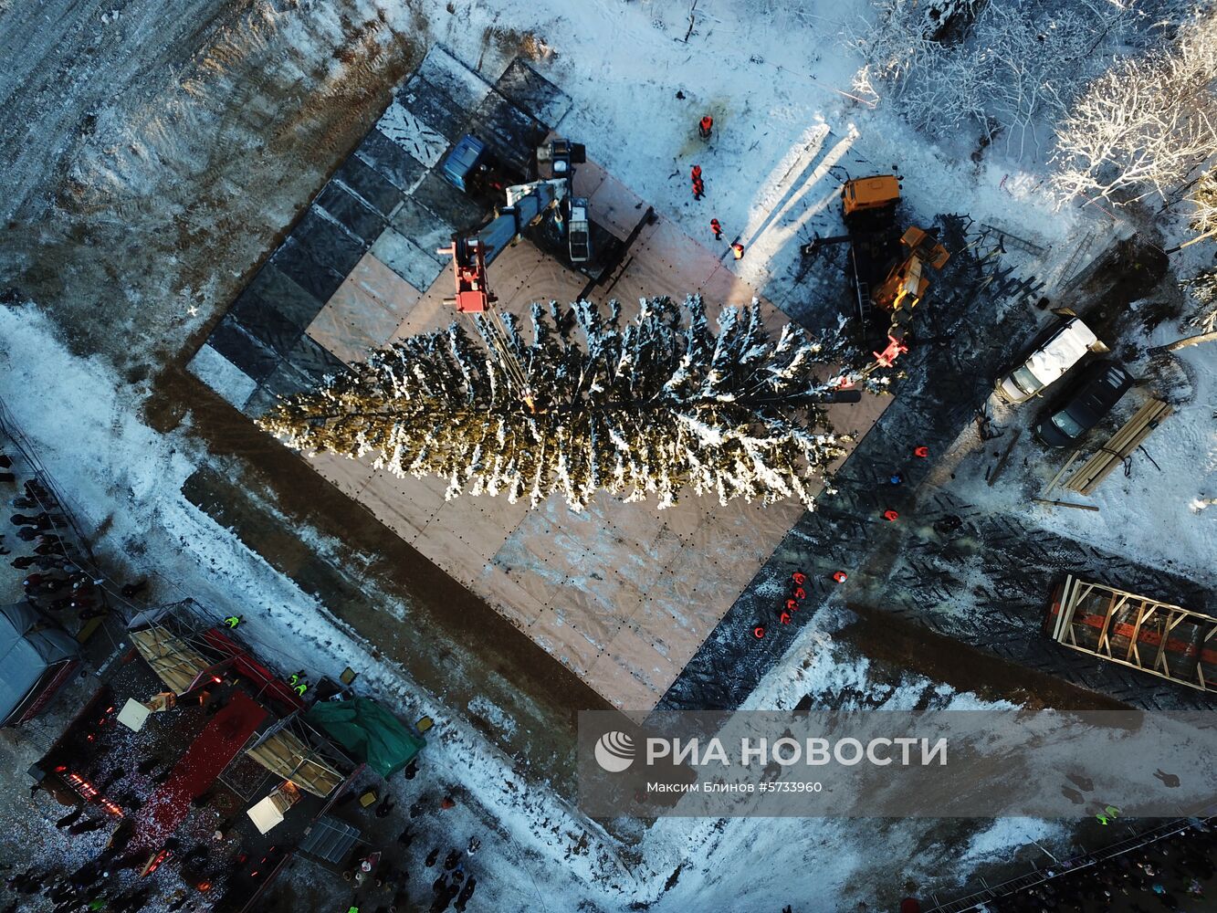 Рубка главной новогодней ели страны в Московской области