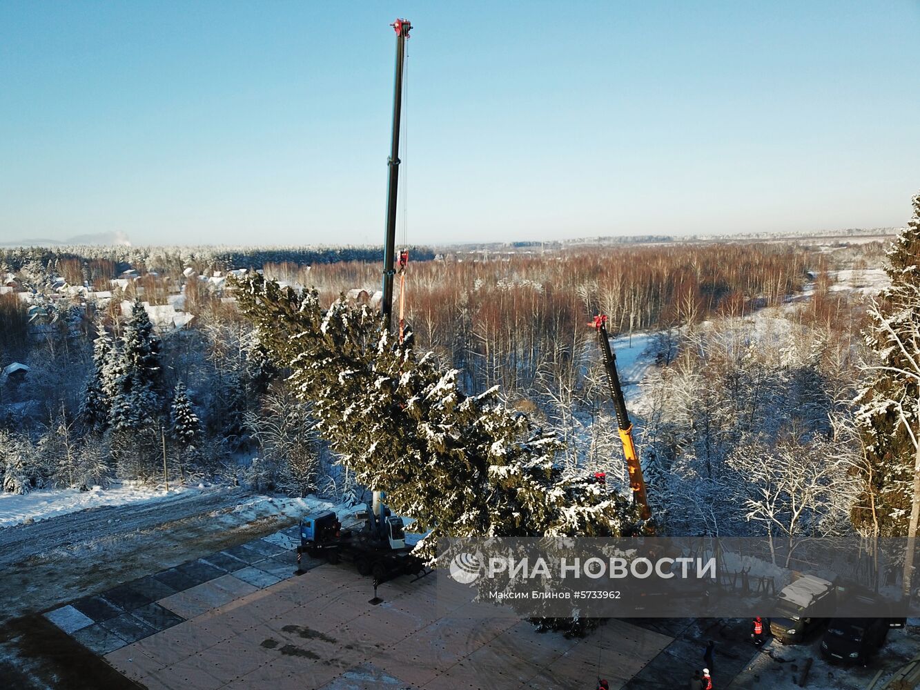 Рубка главной новогодней ели страны в Московской области
