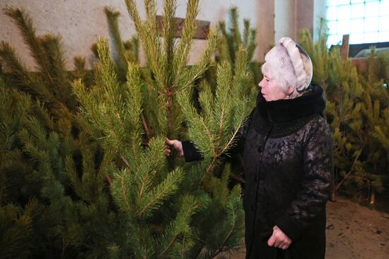 Предприятие лесопромышленного комплекса "Бердский лесхоз" 