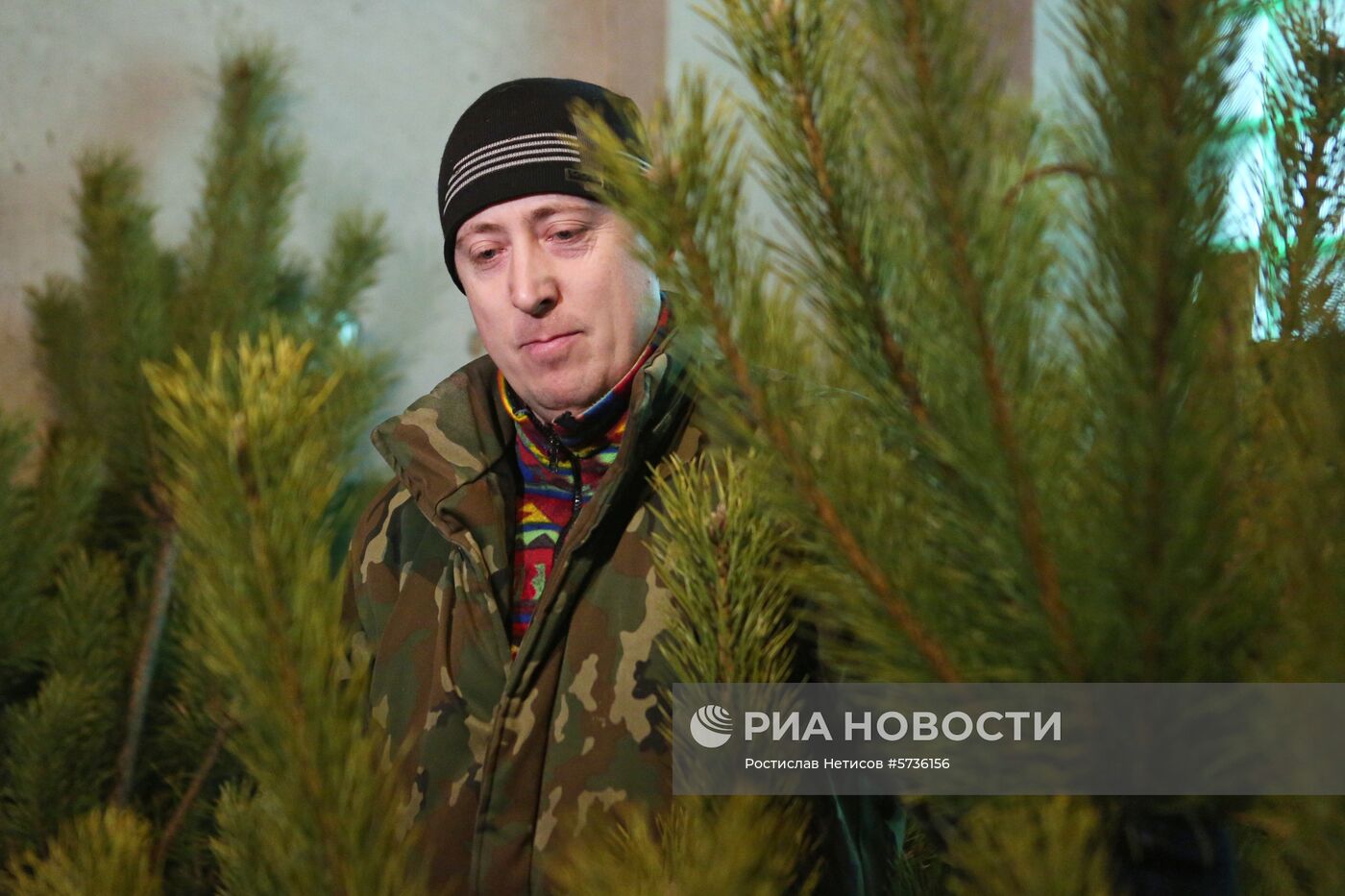 Предприятие лесопромышленного комплекса "Бердский лесхоз"