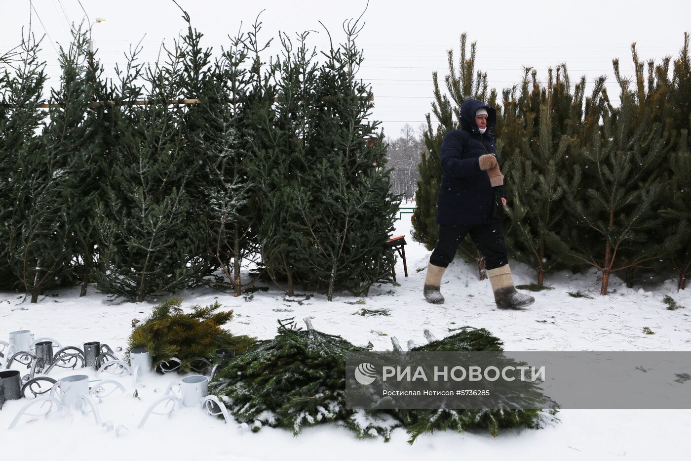 Предприятие лесопромышленного комплекса "Бердский лесхоз" 