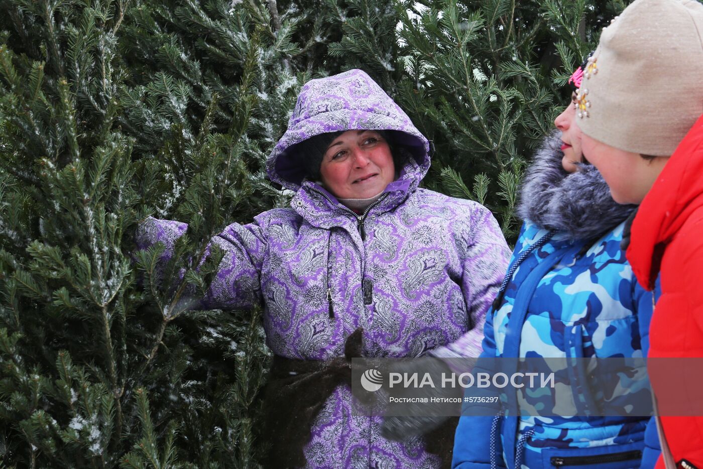 Предприятие лесопромышленного комплекса "Бердский лесхоз" 