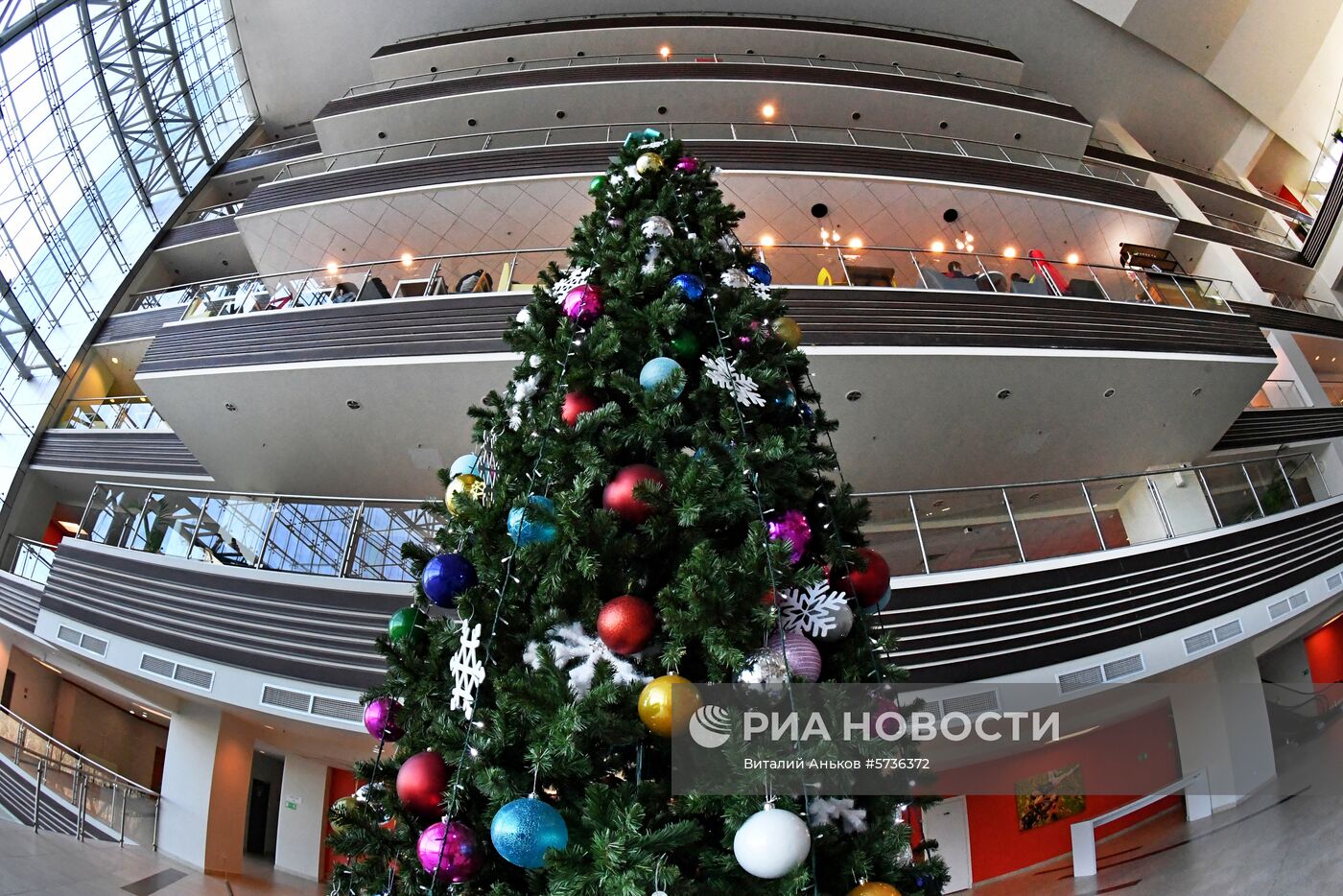 Предновогодний Владивосток