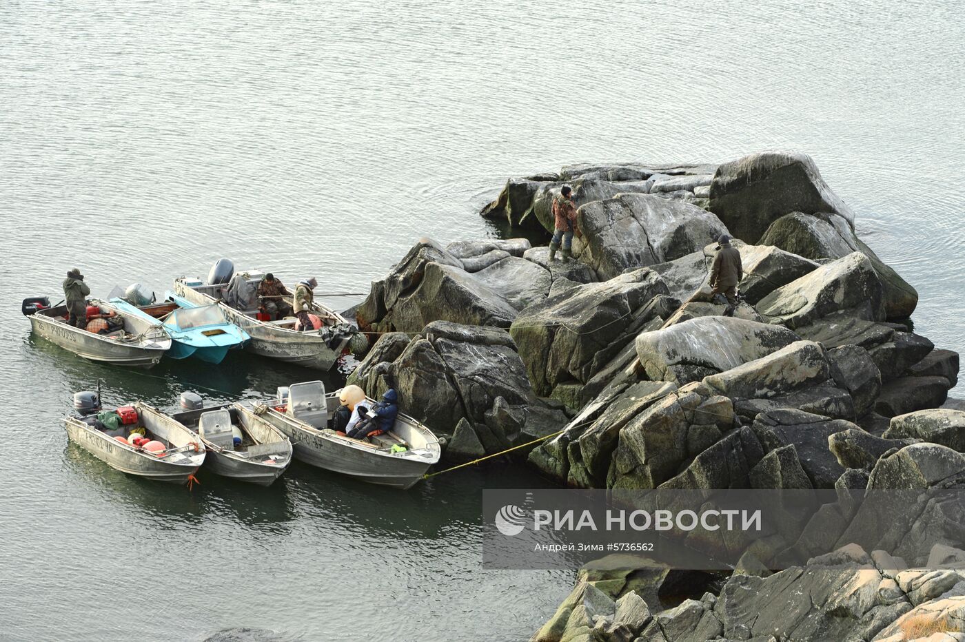  Охота на моржей на Чукотке